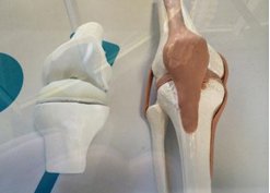 �t(y��)������3D��ӡ��84�q���˷���ϥ�P��(ji��)