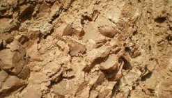 ��͹��ʯճ���a(ch��n)�I(y��)�ȫ���D