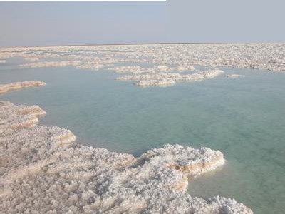 �½��_�����ٴ�̽�@��������}�V