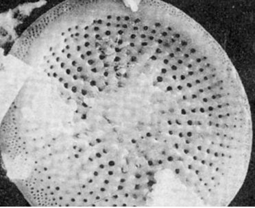 ��ɽ�й������a�I(y��)��l(f��)չ