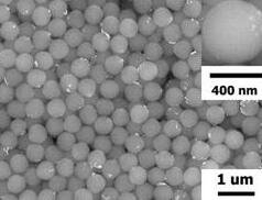 �z�w�{�����ӽ����о��@�����Mչ