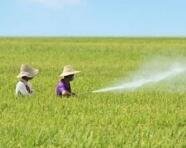 �{�׾�ጼ��g(sh��)�ɴ���p���r(n��ng)ˎ����