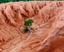 �ИI�������ޏ� ϡ�����Ÿ�����ݳя�