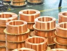 �r(sh��)���������|(zh��)���l(f��)չ���D(zhu��n)׃ --��ȫ���ɕ�(hu��)����ɫ�ИI(y��)�l(f��)չ