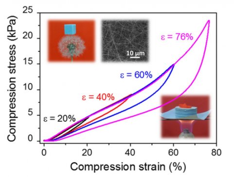 ���������ڳ��p�ɉ��s̼�����մɚ����z�о��I(l��ng)��ȡ���M(j��n)չ