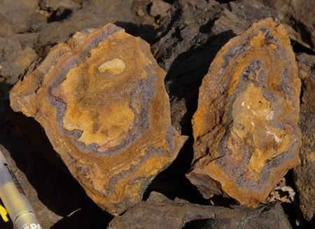 ���׵�ϡ����������]��ô����