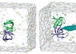 ��(x��)������������?ʯīϩ��ɷ���ֲ���g(sh��)��Ⱦ