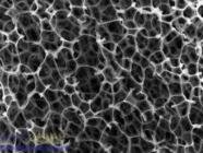 ���Sʯīϩ�K�߻�������ȼ��늳��о��@�M(j��n)չ