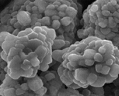 �㲻֪���Ĵ��x���F����Ԫ�����е����ã�