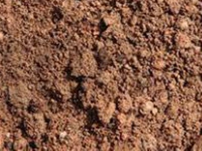 �Ĵ������V���ʂ�Ľ����؅^���ڵ�һ��ϡ��