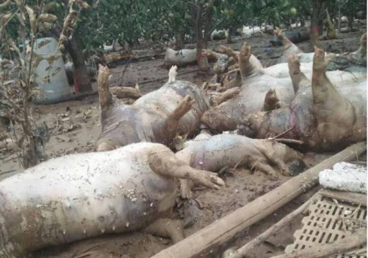 ��ʯ�ң���ʯ�ң�߀ȱ300�����H����(z��i)�^(q��)���衿