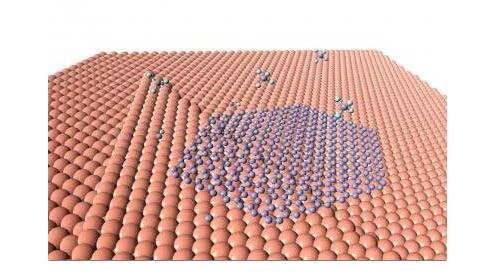 �㽭��WԔ����ʾʯīϩ�ڶྦྷ�r�׾��總��������L