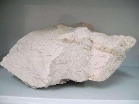 �����Ĵ벢�e���𡰰ك|��������