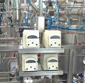 ����ں� �����аl(f��)���t(y��)ˎ�F(xi��n)�����P(gu��n)�I�b��