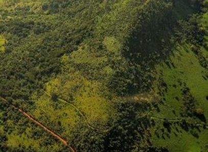 ǰ�ł��²ɵV�I(y��)���F(xi��n)�������~ͬ�����L50%