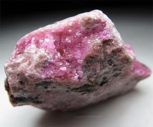 ����١����P�� 10�µ�����ȴθ�