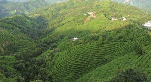 �Gɫ�VɽԺʿ�����M����