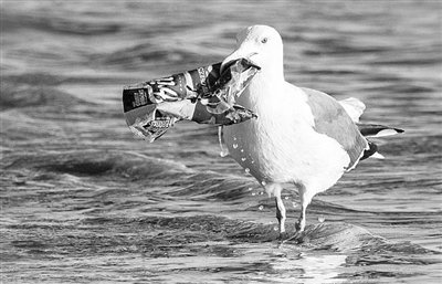 ���΢������Ⱦ�������@����