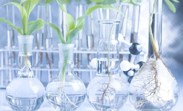 �҇�(gu��)MMA��ˇ�ʬF(xi��n)��Ԫ�����M(j��n)���ИI(y��)�l(f��)չ���s��