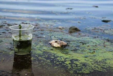 ����h(hu��n)������ͨ���G�T�׻�����I(y��)��Ⱦ�|Ŀ�@�� �������꼰����ˮ�w�ʏ����� 