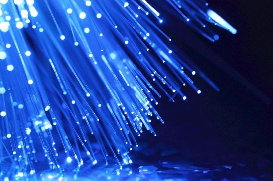 ��W�c�{�׼��g�ġ���������