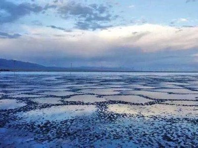 ��ԭ���Ϻ��^(gu��)�ꣿ LG���W(xu��)/���r(sh��)��/SK�Ⱦ��^�Є�(d��ng)�����飿