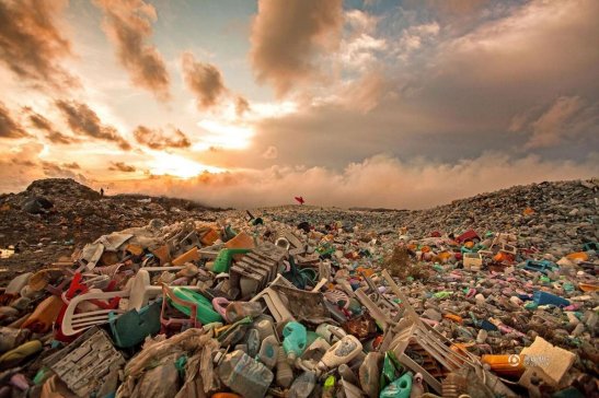 ��ý���Ї����ՏU���ϣ��ձ������Լ�����