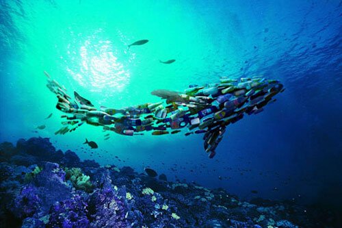 ��˹�����ϡ���˼��(chu��ng)�Ⱦ��^(li��n)�ϳ���ȫ��(li��n)�� �K�Y(ji��)��������