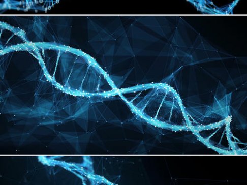 һ���D�˽�������M�߷��Ӳ��ϼ�������I