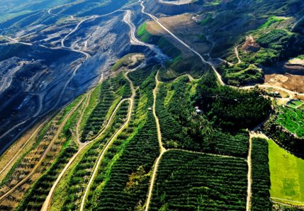 �Ϸ��Ќ��_�������Gɫ�Vɽ���O��I