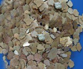 �҇����˿�ѭ�hʹ��ʯīϩ�����џ��t