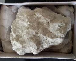 ����Փ�����ð�͹��ʯ�Ƅ�(d��ng)���C����r(n��ng)�I(y��)�l(f��)չ