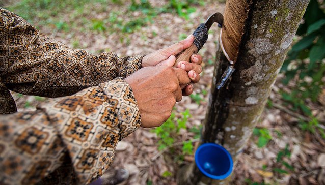 ������Ȼ���z�r����Ȼ̎����������