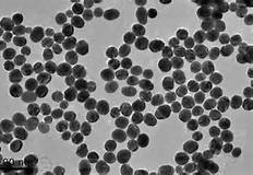 ���_˹������{�����ӡ��ع⡱�[�����ۅ^