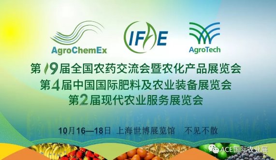 ��������ϙC��������2019��ʮ�Ō�ȫ���rˎ������