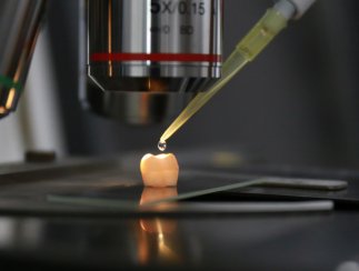 �҇��ƌW���ڻ��������}�{�״��ޏ������|����ȡ��ͻ��