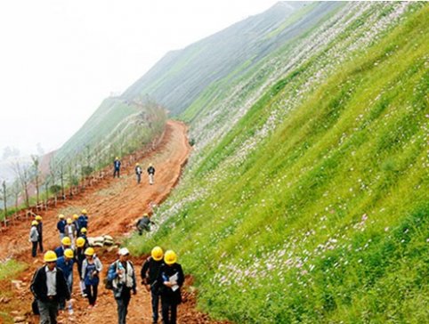 �F��7���Ŀ���xȫ����һ���Gɫ����ʾ���Ŀ