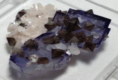 �°l�F��1290�f��������Ξʯ�V���a�Vͬ�r�F������