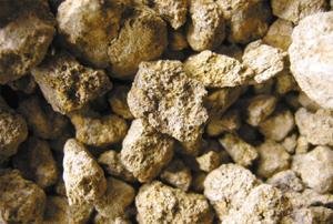 ��Vϡ��2019��ȃ�������8589.44�fԪ��ͬ�Ƚ�15.61%