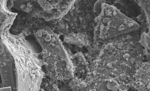 �ƌW���о����ڹ���ꖘO�ĸ������늳ؽ�Q����