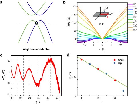 �Ї��ƴ��������ؓ�����⠖�댧�w�о���ȡ���Mչ