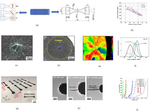 �п�Ժ���W������������⁺Ͻ�ƣ�������о���ȡ���Mչ