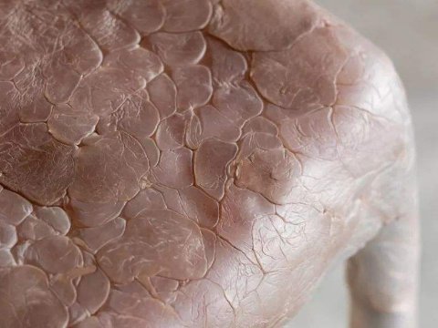 ��ȫ��������ϲ��ϵĳ������Ƥ�w����