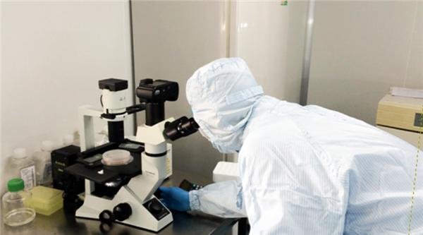 �ü{�׼��������dˎ �������[���ί�Ч��