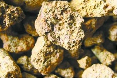 ϡ���I(y��)�顰�»�����ע������c���C(j��)