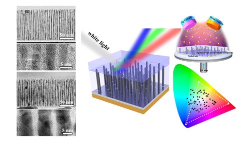 �������������аl���͵��x��Ԫ�Y��ɫ���ϼ��Ƃ似�g