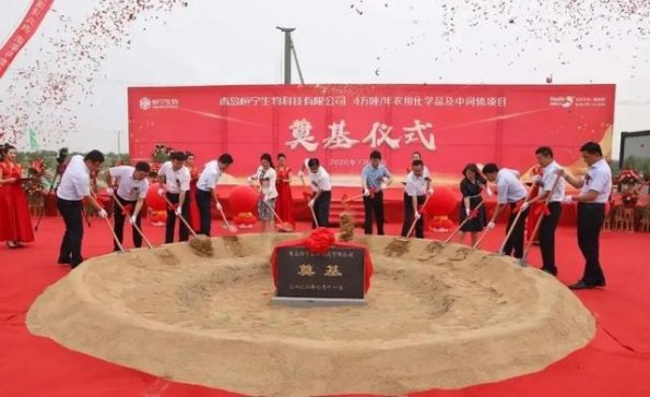 Ͷ�Y20�|���������½���a4�f��ԭˎ�����g�w�Ŀ