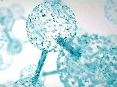 �ИI���xحʯīϩ�Ķ��ԡ���ȫ���о��д��ӏ�