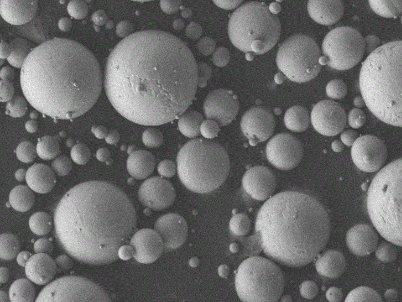 �롰�ޟ�������⁷�Ҫ��(j��ng)�vʲô�����y����