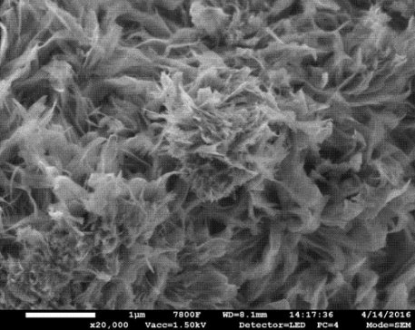 �����o�r֮������������X��Ρ����L���ˡ�